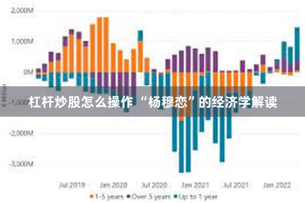 杠杆炒股怎么操作 “杨穆恋”的经济学解读