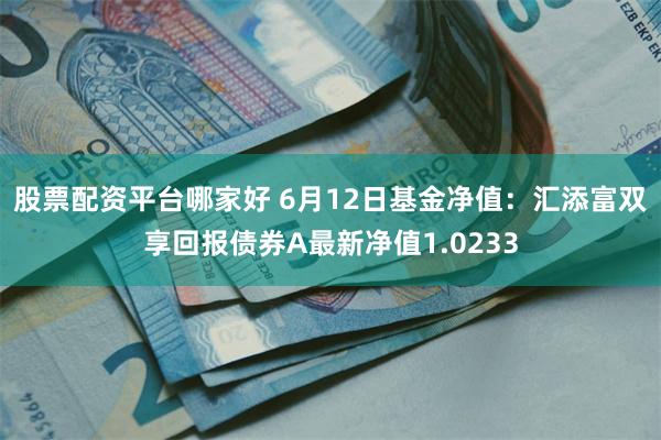 股票配资平台哪家好 6月12日基金净值：汇添富双享回报债券A最新净值1.0233