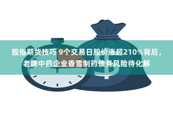 股指期货技巧 9个交易日股价涨超210%背后，老牌中药企业香雪制药债务风险待化解