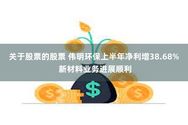 关于股票的股票 伟明环保上半年净利增38.68% 新材料业务进展顺利