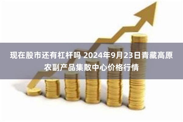 现在股市还有杠杆吗 2024年9月23日青藏高原农副产品集散中心价格行情