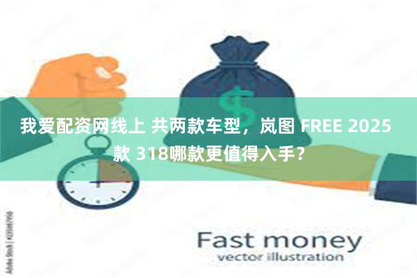 我爱配资网线上 共两款车型，岚图 FREE 2025 款 318哪款更值得入手？