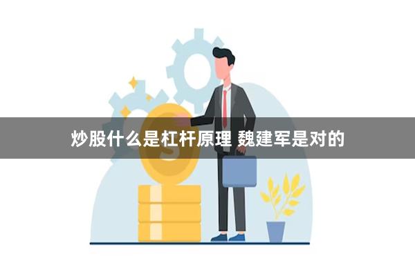 炒股什么是杠杆原理 魏建军是对的