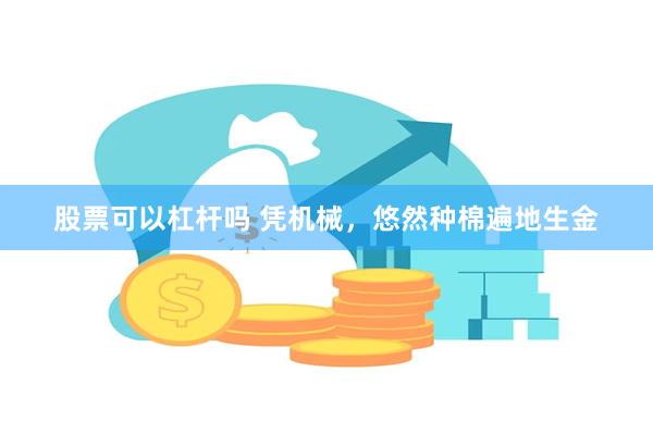 股票可以杠杆吗 凭机械，悠然种棉遍地生金