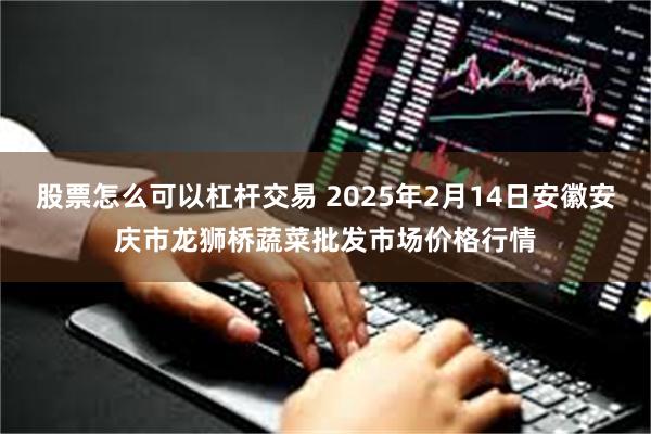 股票怎么可以杠杆交易 2025年2月14日安徽安庆市龙狮桥蔬菜批发市场价格行情