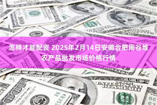 怎样才能配资 2025年2月14日安徽合肥周谷堆农产品批发市场价格行情