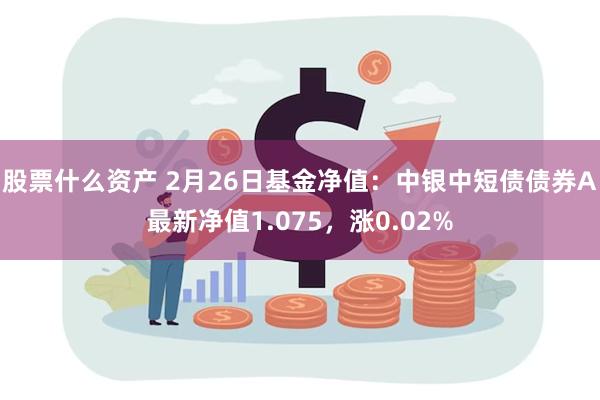 股票什么资产 2月26日基金净值：中银中短债债券A最新净值1.075，涨0.02%