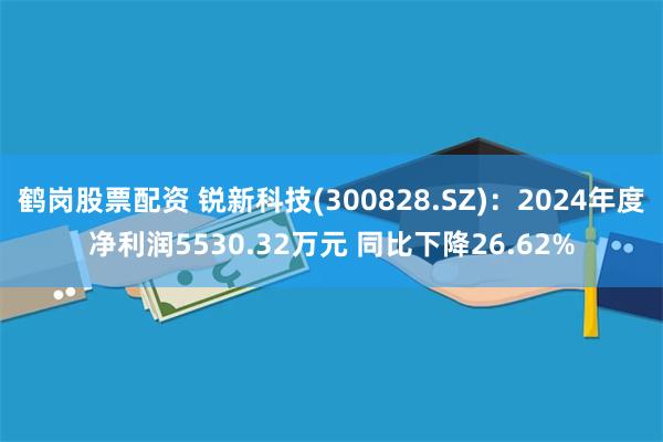 鹤岗股票配资 锐新科技(300828.SZ)：2024年度净利润5530.32万元 同比下降26.62%