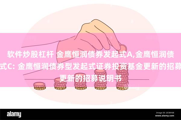 软件炒股杠杆 金鹰恒润债券发起式A,金鹰恒润债券发起式C: 金鹰恒润债券型发起式证券投资基金更新的招募说明书