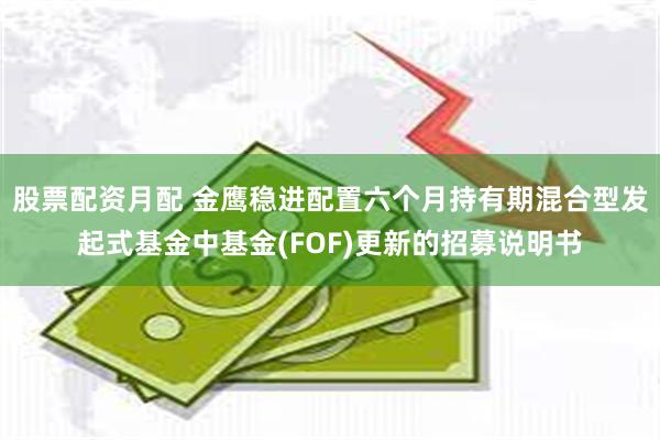股票配资月配 金鹰稳进配置六个月持有期混合型发起式基金中基金(FOF)更新的招募说明书