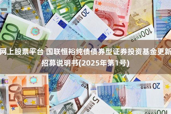 网上股票平台 国联恒裕纯债债券型证券投资基金更新招募说明书(2025年第1号)
