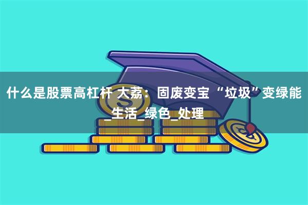 什么是股票高杠杆 大荔：固废变宝 “垃圾”变绿能_生活_绿色_处理