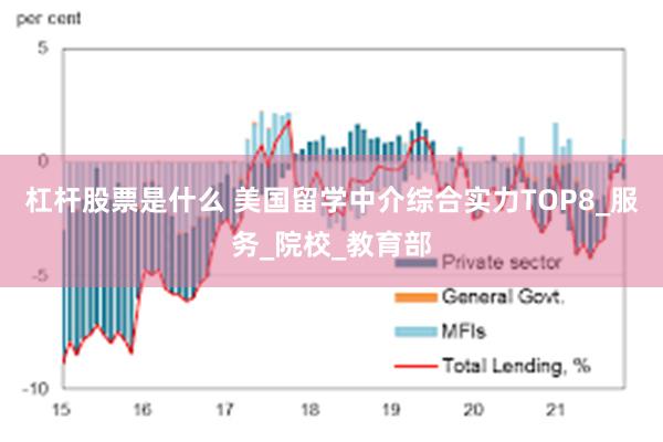 杠杆股票是什么 美国留学中介综合实力TOP8_服务_院校_教育部