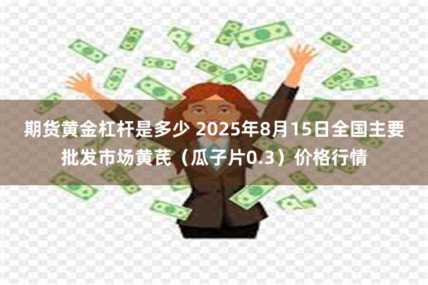 期货黄金杠杆是多少 2025年8月15日全国主要批发市场黄芪（瓜子片0.3）价格行情