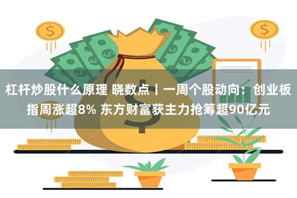 杠杆炒股什么原理 晓数点丨一周个股动向：创业板指周涨超8% 东方财富获主力抢筹超90亿元